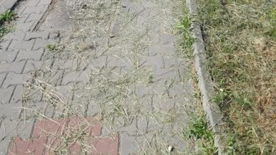 Кметството коси 1809 дка треви, пари за това има, но няма работници