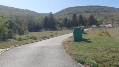 Потресаващ вандализъм! 40 фиданки посечени за една нощ в Шемшево