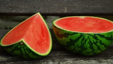 Безводието отменя Празника на динята